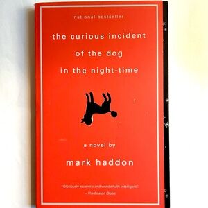 The Curious Incident of the Dog in the Night-Time by Mark Haddon